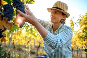 Imagen de Katerina Monroe