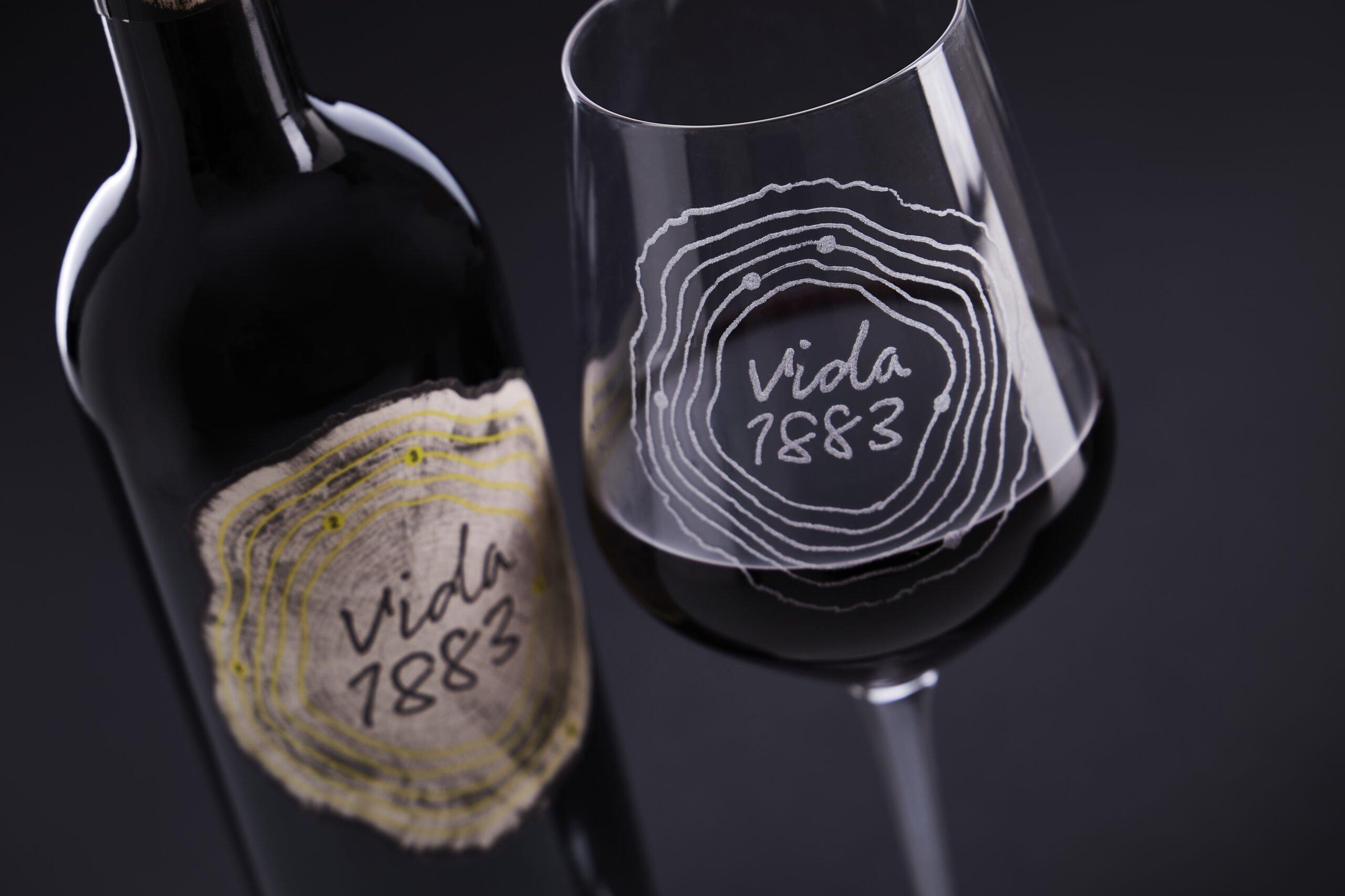 Vida 1883. Vino tinto. Reserva. IGP VTCyL. 750mL (Cosecha 2015) - Imagen 10