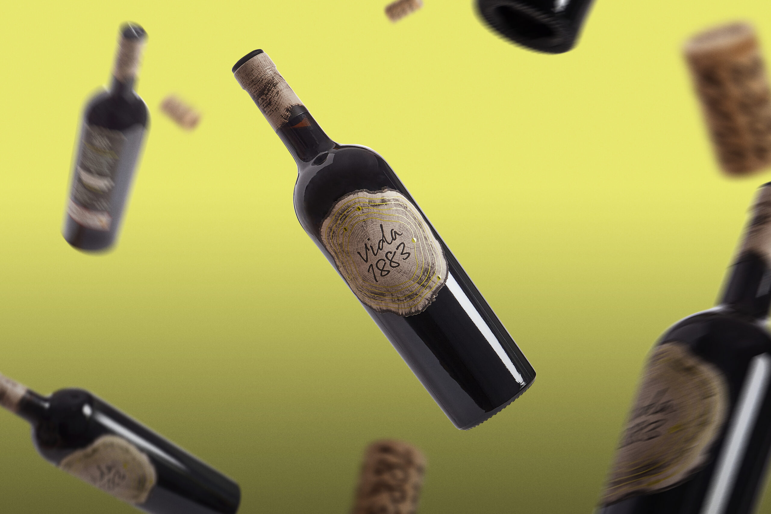 Vida 1883. Vino tinto. Reserva. IGP VTCyL. 750mL (Cosecha 2015) - Imagen 5