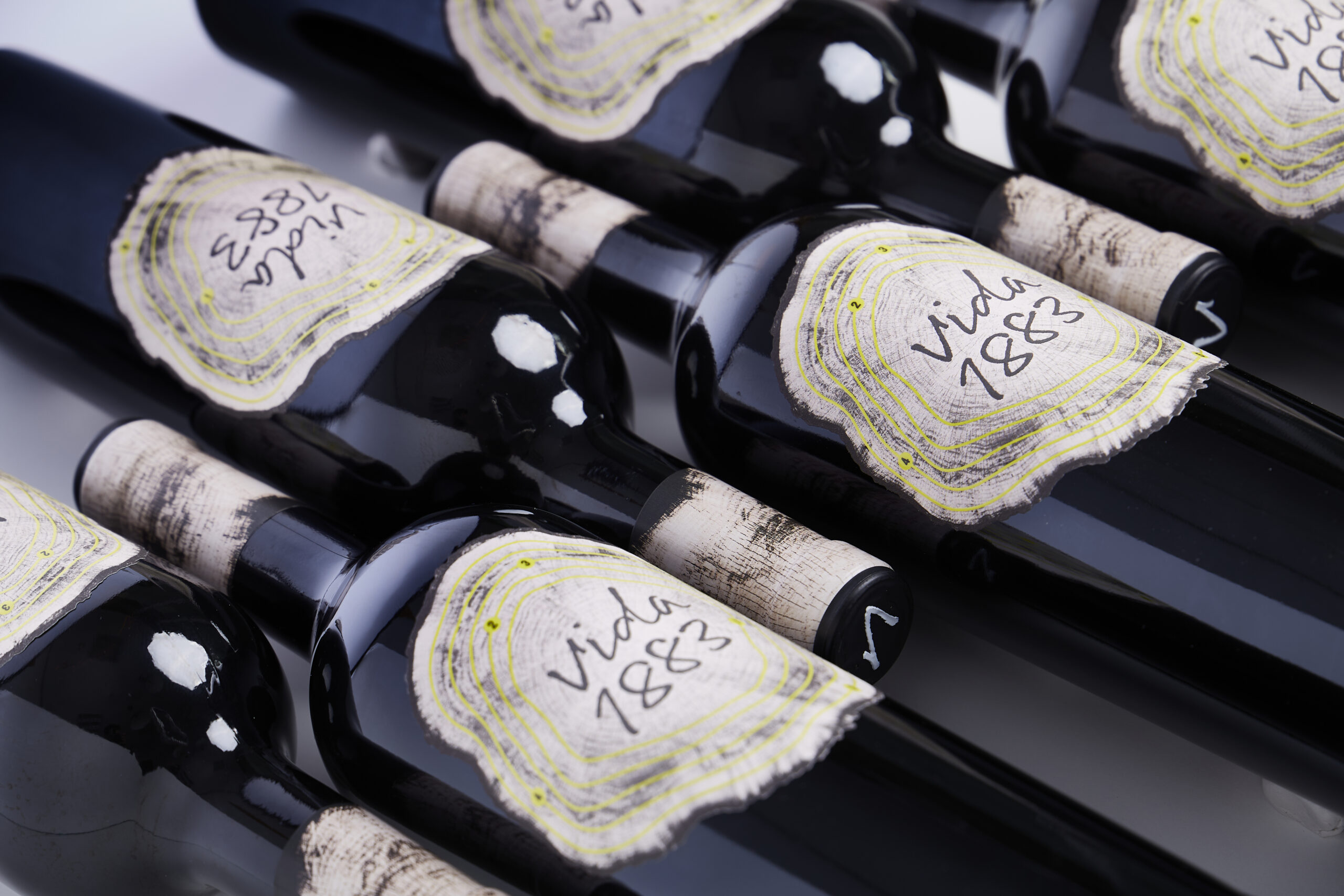 Vida 1883: Elegante, profundo y lleno de matices. Un vino que invita a detenerse, a explorar y a dejarse llevar por una historia que todavía se está escribiendo.