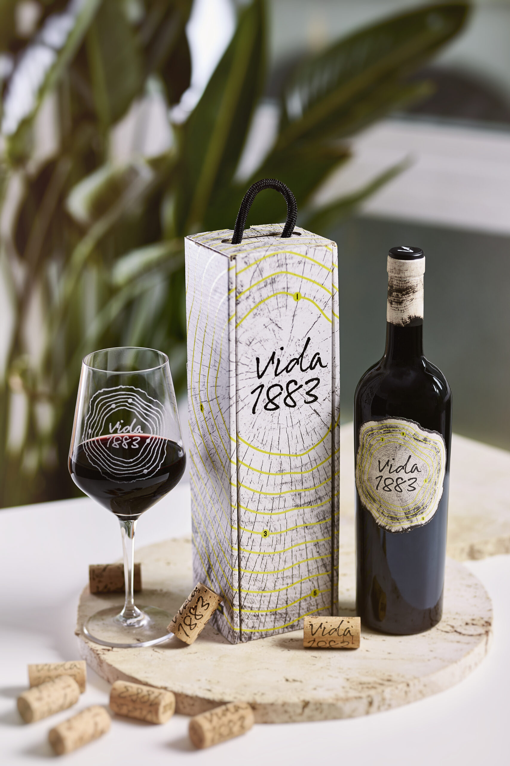 Vida 1883. Vino tinto. Reserva. IGP VTCyL. 750mL (Cosecha 2015) - Imagen 3