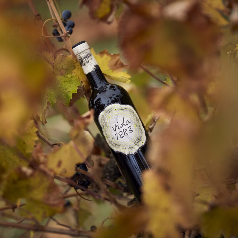 015-vida-bodega-hi-5