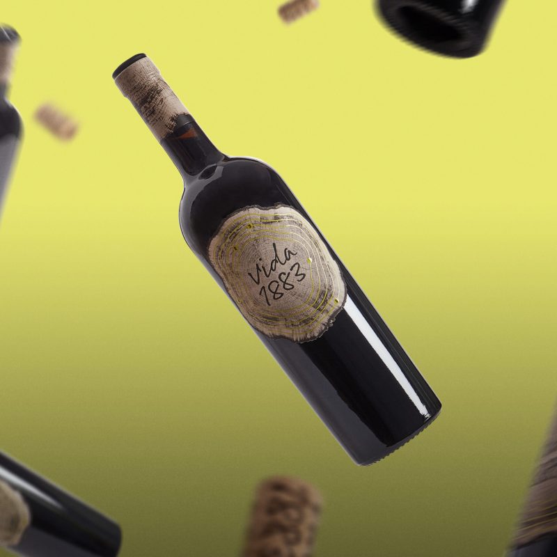 016-vida-estudio-hi-3