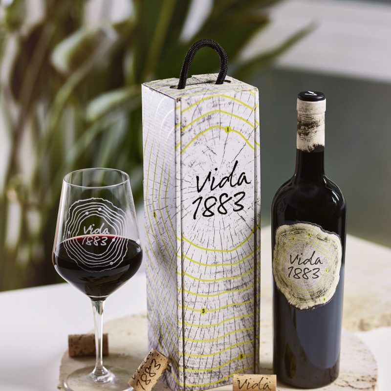 040-vida-estudio-hi-4