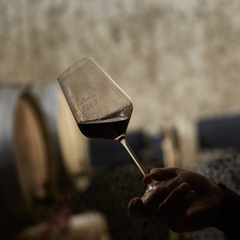 121-vida-bodega-hi-4