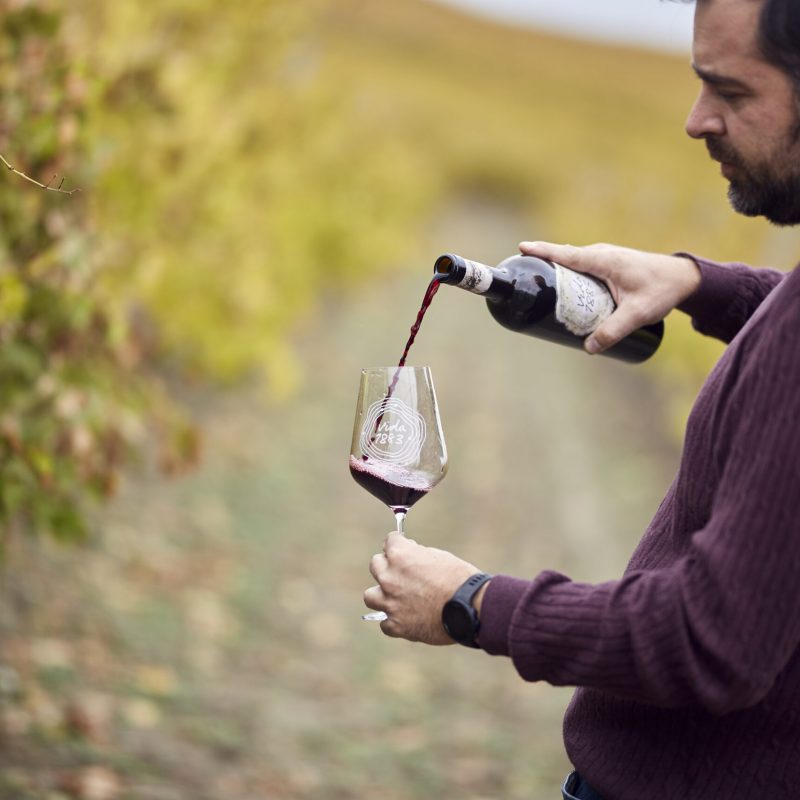 135-vida-bodega-hi-4